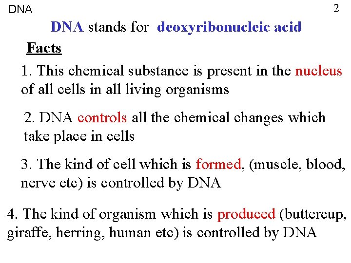 DNA 2 DNA stands for deoxyribonucleic acid Facts 1. This chemical substance is present