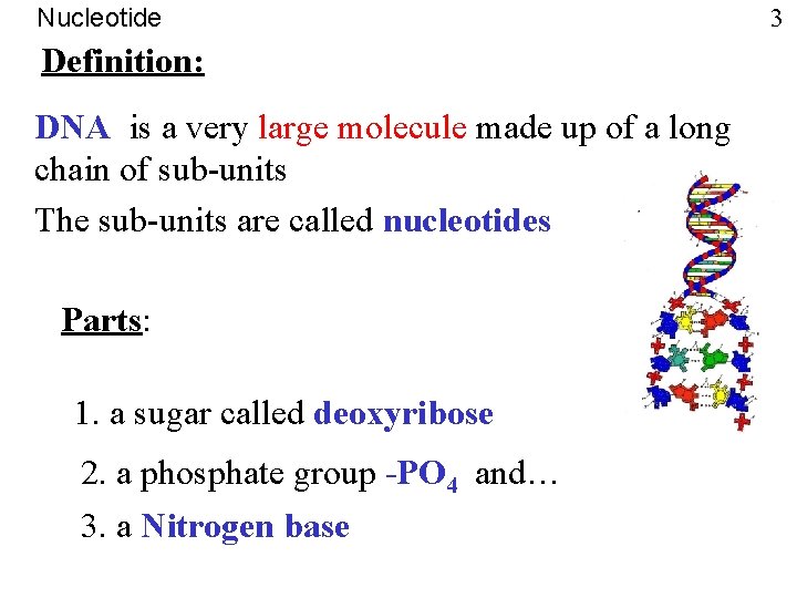 Nucleotide Definition: DNA is a very large molecule made up of a long chain