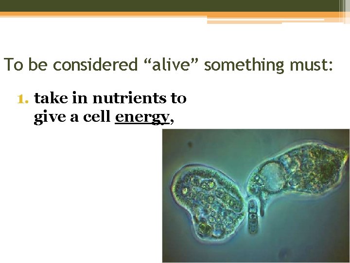 To be considered “alive” something must: 1. take in nutrients to give a cell