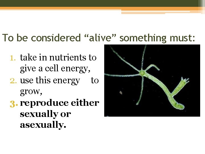 To be considered “alive” something must: 1. take in nutrients to give a cell