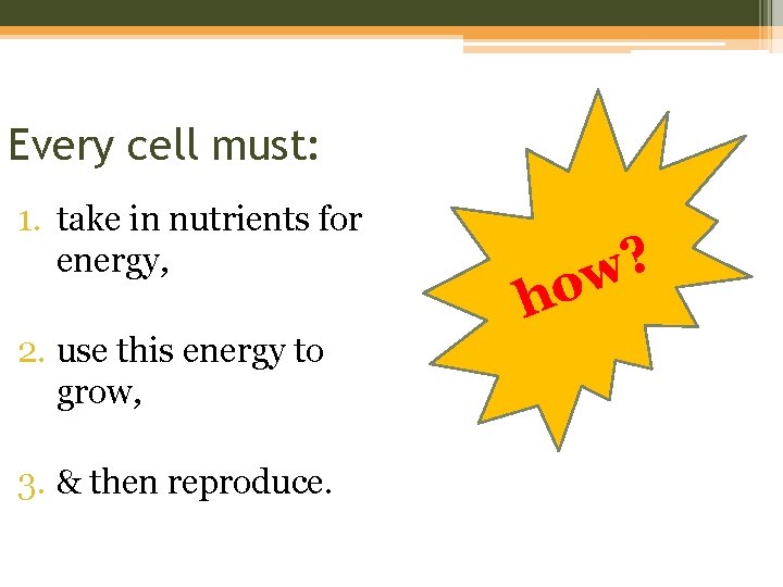 Every cell must: 1. take in nutrients for energy, 2. use this energy to