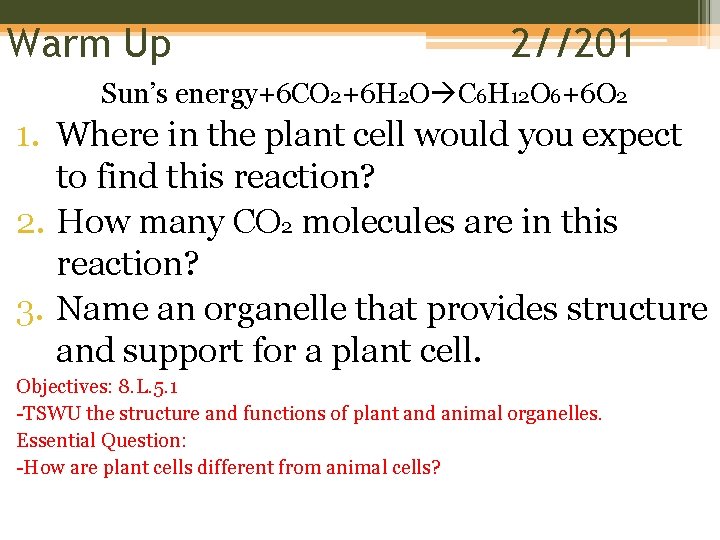 Warm Up 2//201 Sun’s energy+6 CO 2+6 H 2 O C 6 H 12