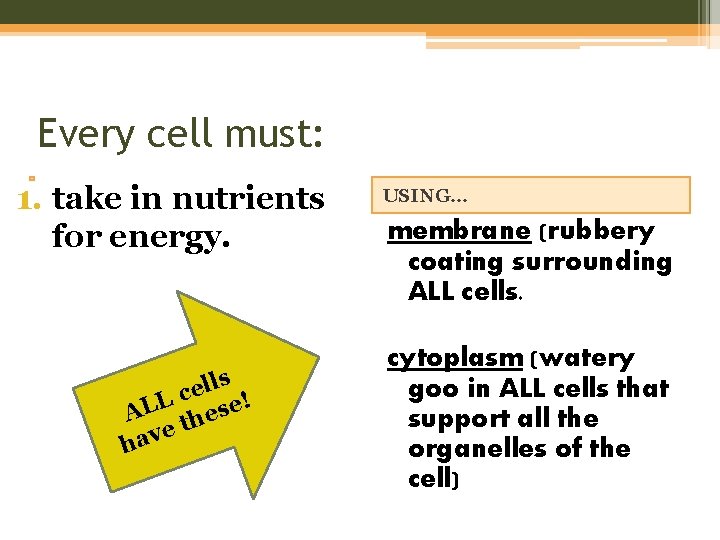 Every cell must: 1. take in nutrients for energy. s l l e c