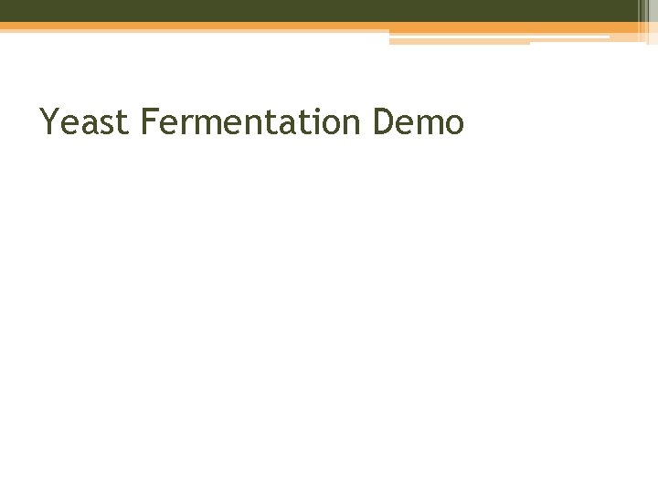 Yeast Fermentation Demo 