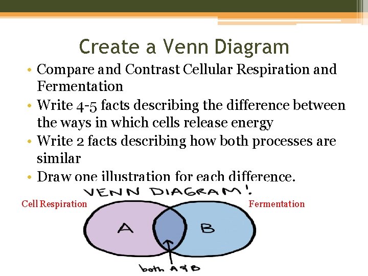 Create a Venn Diagram • Compare and Contrast Cellular Respiration and Fermentation • Write