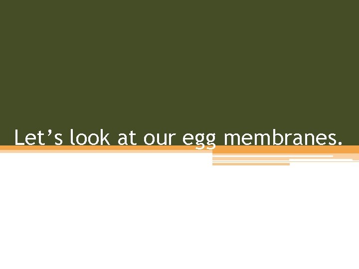 Let’s look at our egg membranes. 