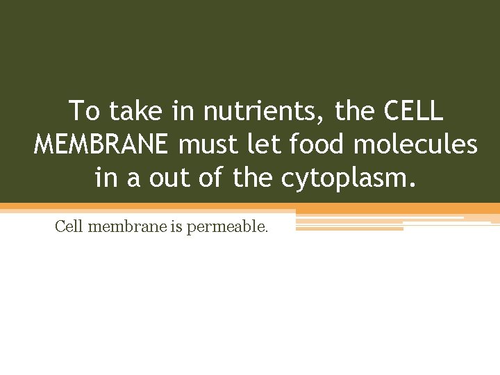 To take in nutrients, the CELL MEMBRANE must let food molecules in a out