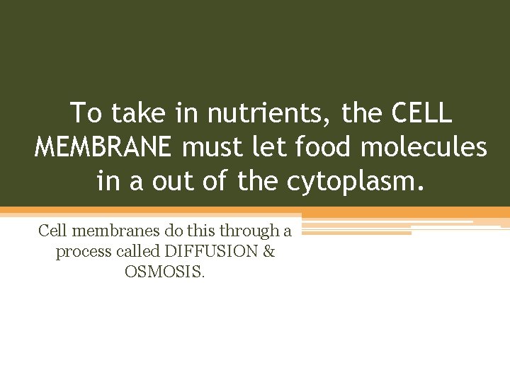 To take in nutrients, the CELL MEMBRANE must let food molecules in a out