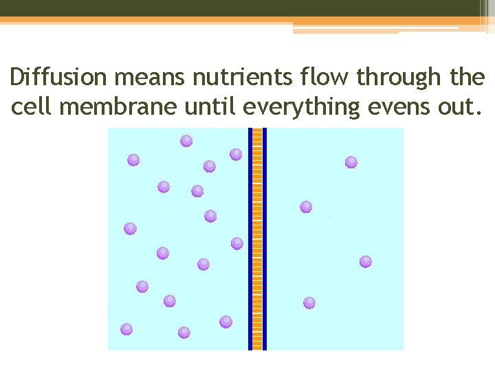 Diffusion means nutrients flow through the cell membrane until everything evens out. 