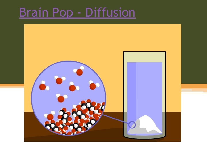 Brain Pop - Diffusion 