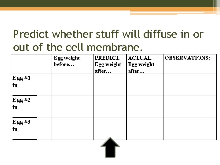 Predict whether stuff will diffuse in or out of the cell membrane. Egg weight