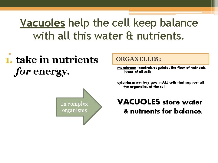 Vacuoles help the cell keep balance with all this water & nutrients. 1. take