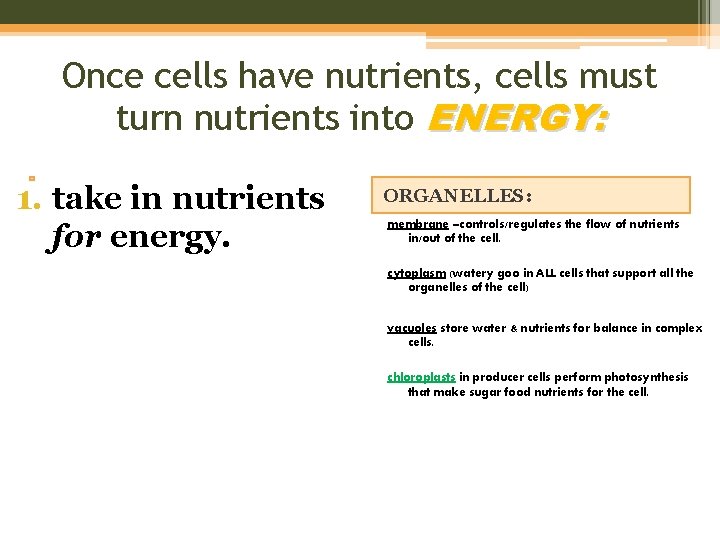 Once cells have nutrients, cells must turn nutrients into ENERGY: 1. take in nutrients