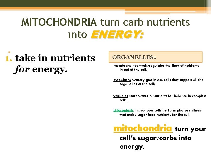 MITOCHONDRIA turn carb nutrients into ENERGY: 1. take in nutrients for energy. ORGANELLES: membrane