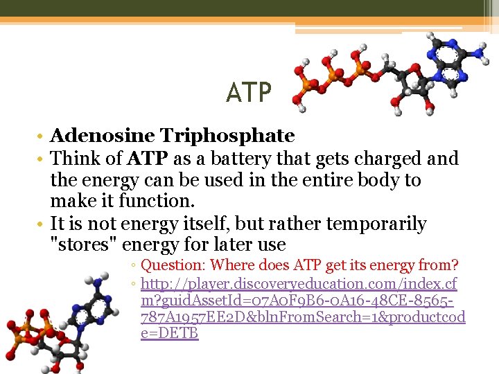 ATP • Adenosine Triphosphate • Think of ATP as a battery that gets charged