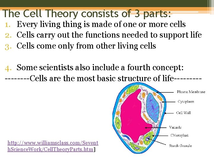 The Cell Theory consists of 3 parts: 1. Every living thing is made of