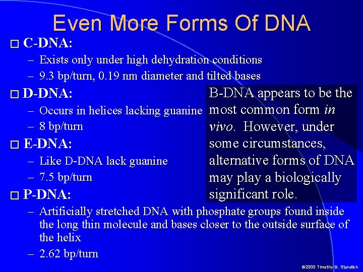 Even More Forms Of DNA � C-DNA: – Exists only under high dehydration conditions