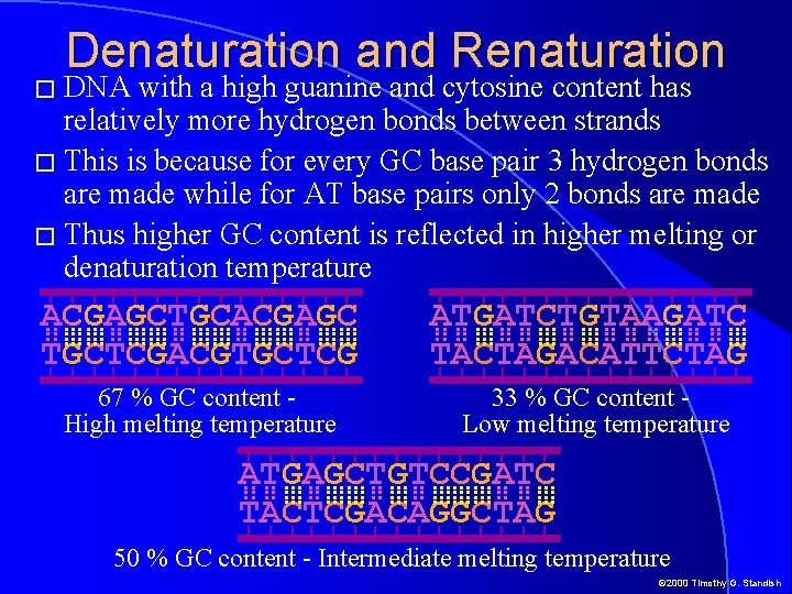 Denaturation and Renaturation � DNA with a high guanine and cytosine content has relatively