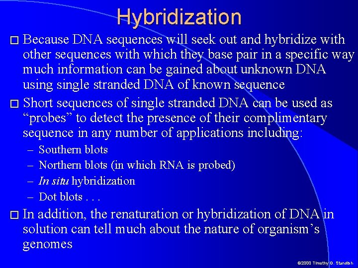 Hybridization � Because DNA sequences will seek out and hybridize with other sequences with