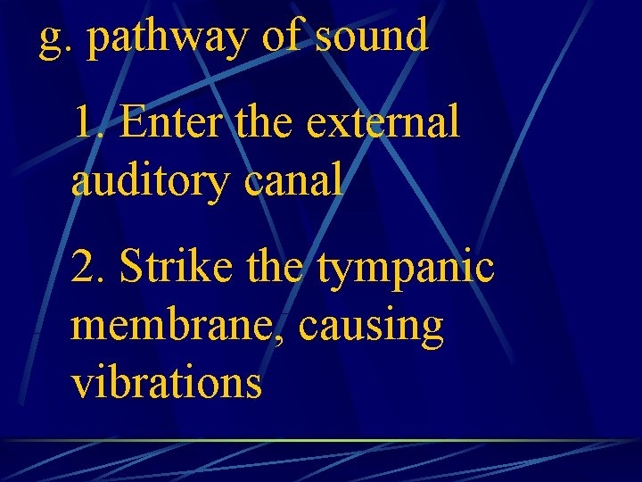 g. pathway of sound 1. Enter the external auditory canal 2. Strike the tympanic