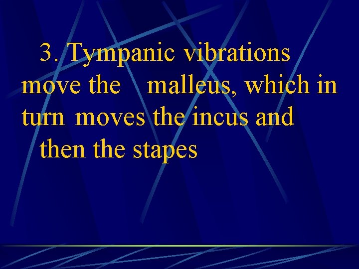 3. Tympanic vibrations move the malleus, which in turn moves the incus and then