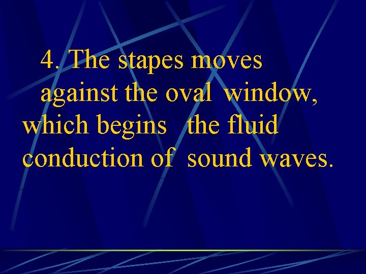 4. The stapes moves against the oval window, which begins the fluid conduction of