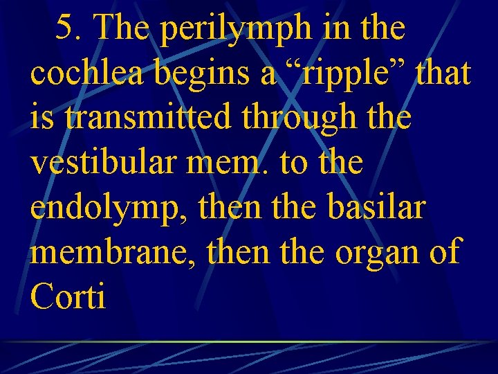 5. The perilymph in the cochlea begins a “ripple” that is transmitted through the