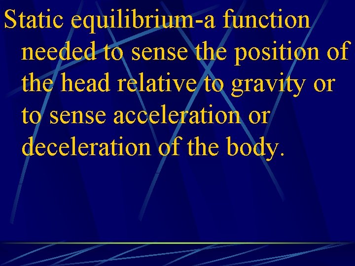 Static equilibrium-a function needed to sense the position of the head relative to gravity