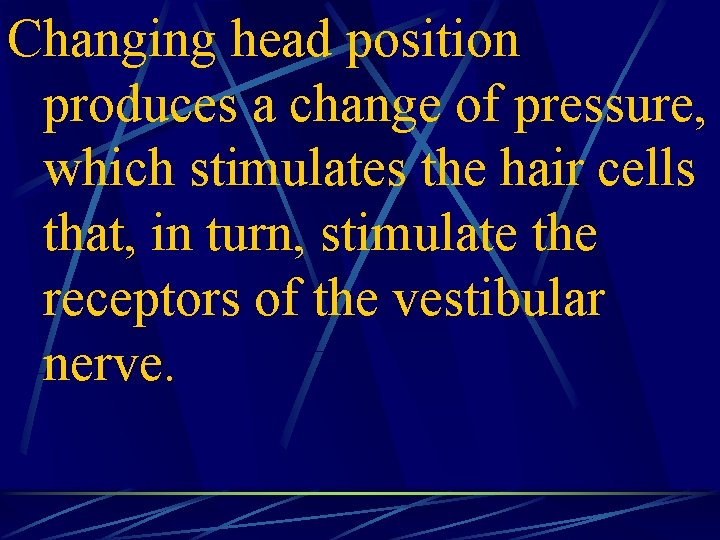 Changing head position produces a change of pressure, which stimulates the hair cells that,