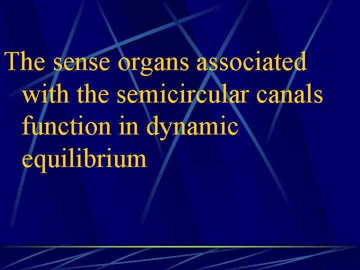 The sense organs associated with the semicircular canals function in dynamic equilibrium 