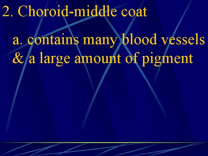 2. Choroid-middle coat a. contains many blood vessels & a large amount of pigment