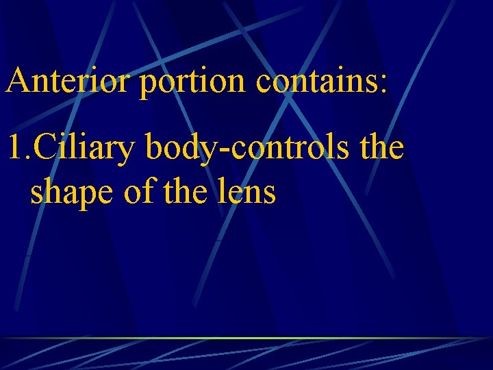 Anterior portion contains: 1. Ciliary body-controls the shape of the lens 