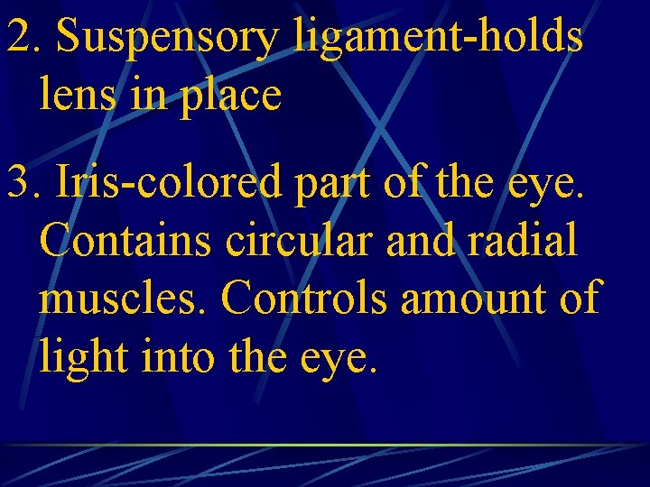 2. Suspensory ligament-holds lens in place 3. Iris-colored part of the eye. Contains circular