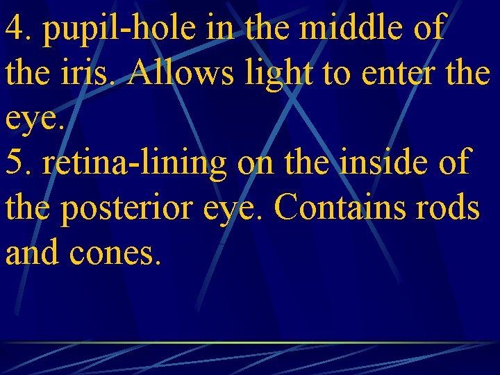 4. pupil-hole in the middle of the iris. Allows light to enter the eye.