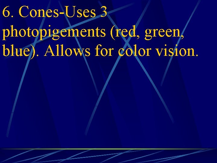 6. Cones-Uses 3 photopigements (red, green, blue). Allows for color vision. 