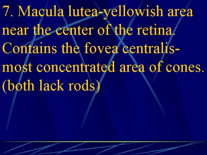 7. Macula lutea-yellowish area near the center of the retina. Contains the fovea centralismost