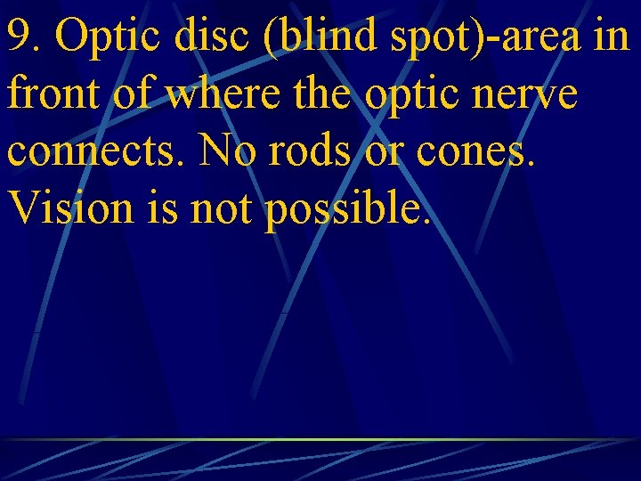 9. Optic disc (blind spot)-area in front of where the optic nerve connects. No