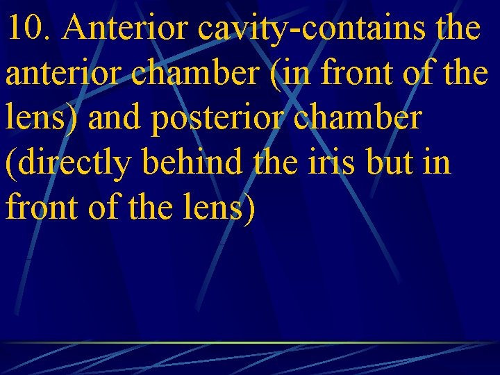 10. Anterior cavity-contains the anterior chamber (in front of the lens) and posterior chamber