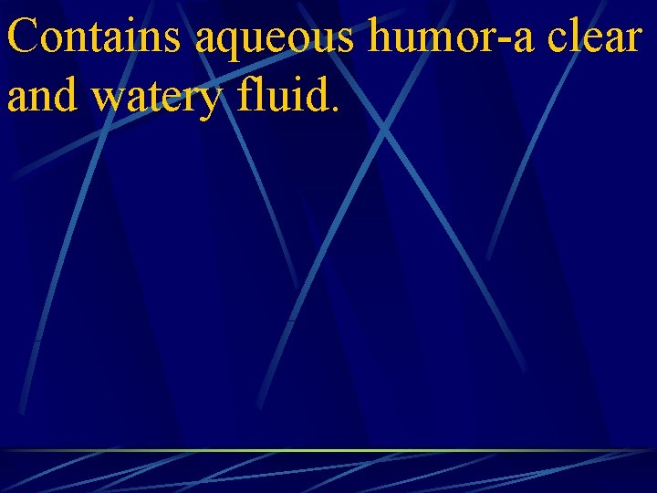Contains aqueous humor-a clear and watery fluid. 