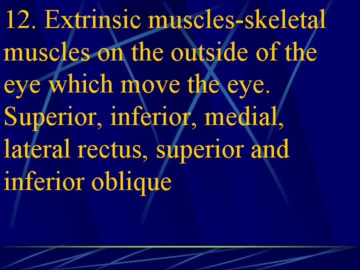 12. Extrinsic muscles-skeletal muscles on the outside of the eye which move the eye.