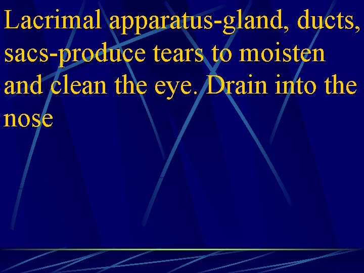 Lacrimal apparatus-gland, ducts, sacs-produce tears to moisten and clean the eye. Drain into the