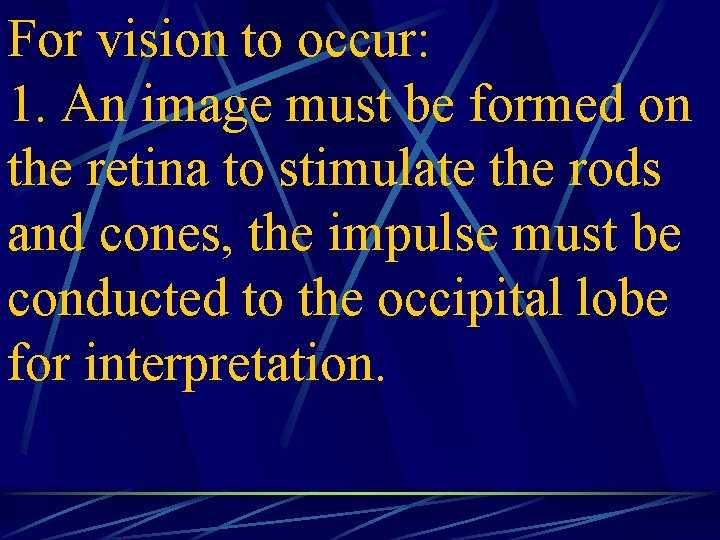 For vision to occur: 1. An image must be formed on the retina to