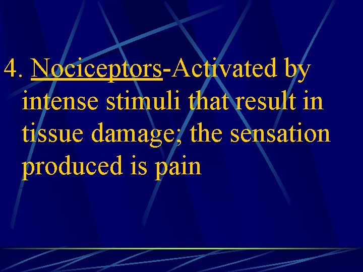 4. Nociceptors-Activated by intense stimuli that result in tissue damage; the sensation produced is
