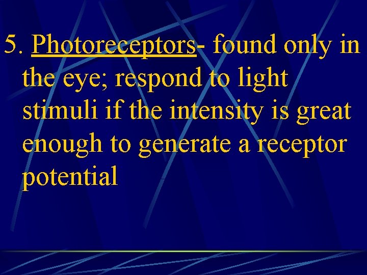 5. Photoreceptors- found only in the eye; respond to light stimuli if the intensity