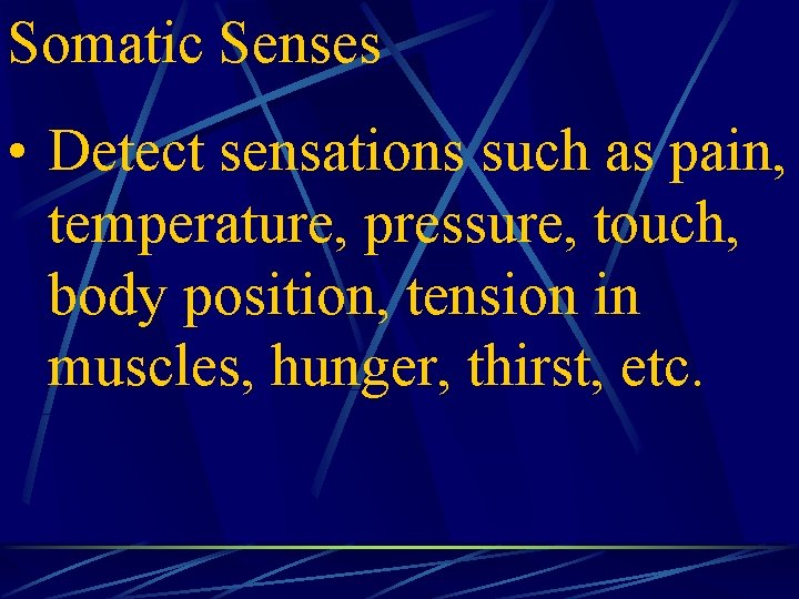 Somatic Senses • Detect sensations such as pain, temperature, pressure, touch, body position, tension