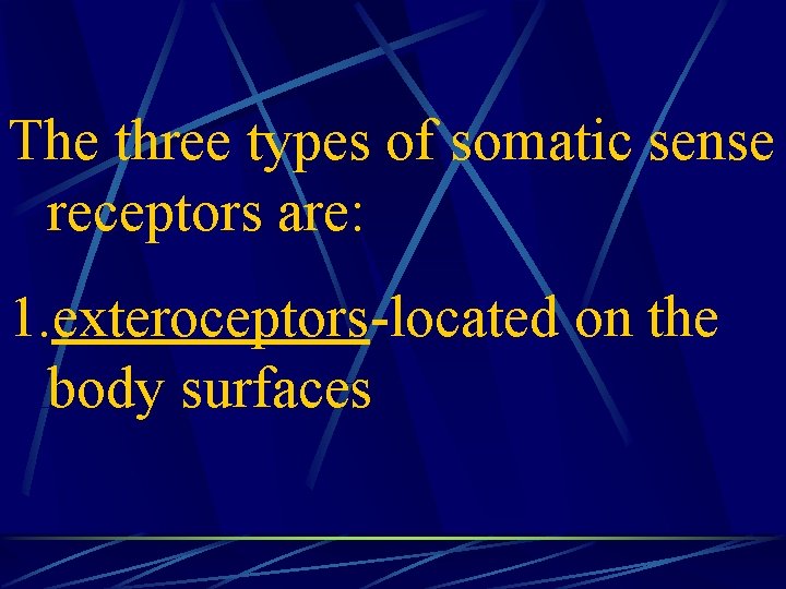 The three types of somatic sense receptors are: 1. exteroceptors-located on the body surfaces