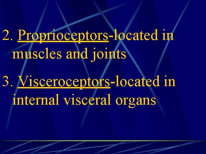2. Proprioceptors-located in muscles and joints 3. Visceroceptors-located in internal visceral organs 