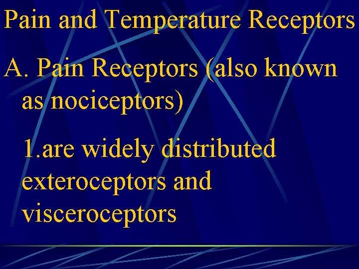Pain and Temperature Receptors A. Pain Receptors (also known as nociceptors) 1. are widely