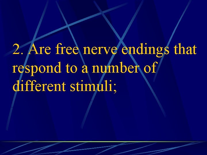 2. Are free nerve endings that respond to a number of different stimuli; 