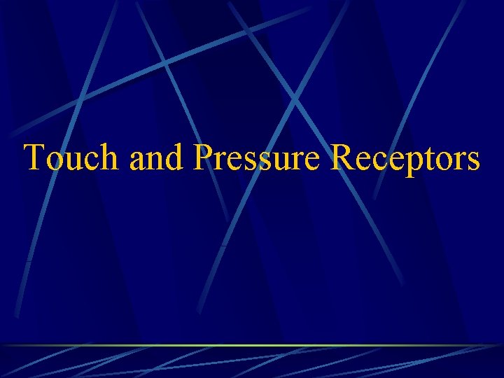 Touch and Pressure Receptors 